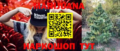 спиды Абинск