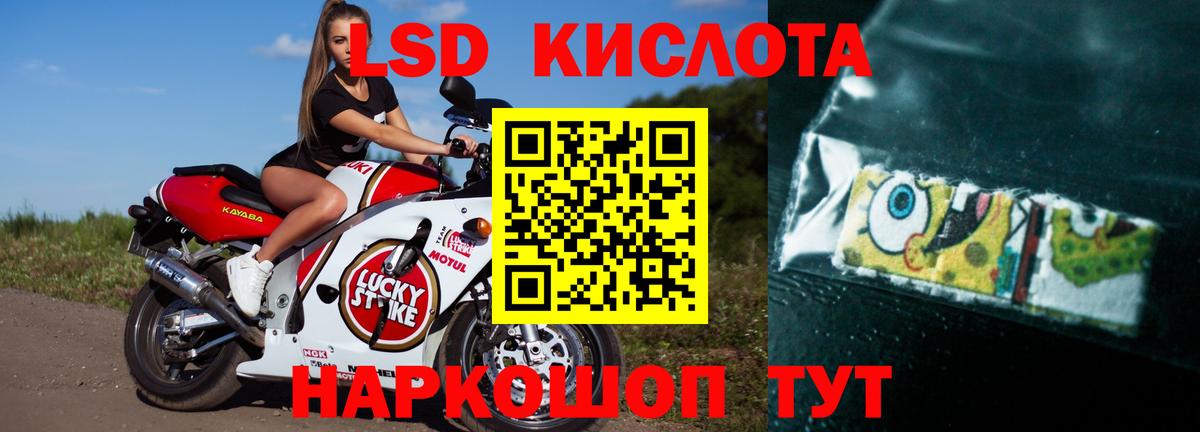 Лсд 25 экстази ecstasy  Вход с VPN  Александров  ЛСД экстази ecstasy 