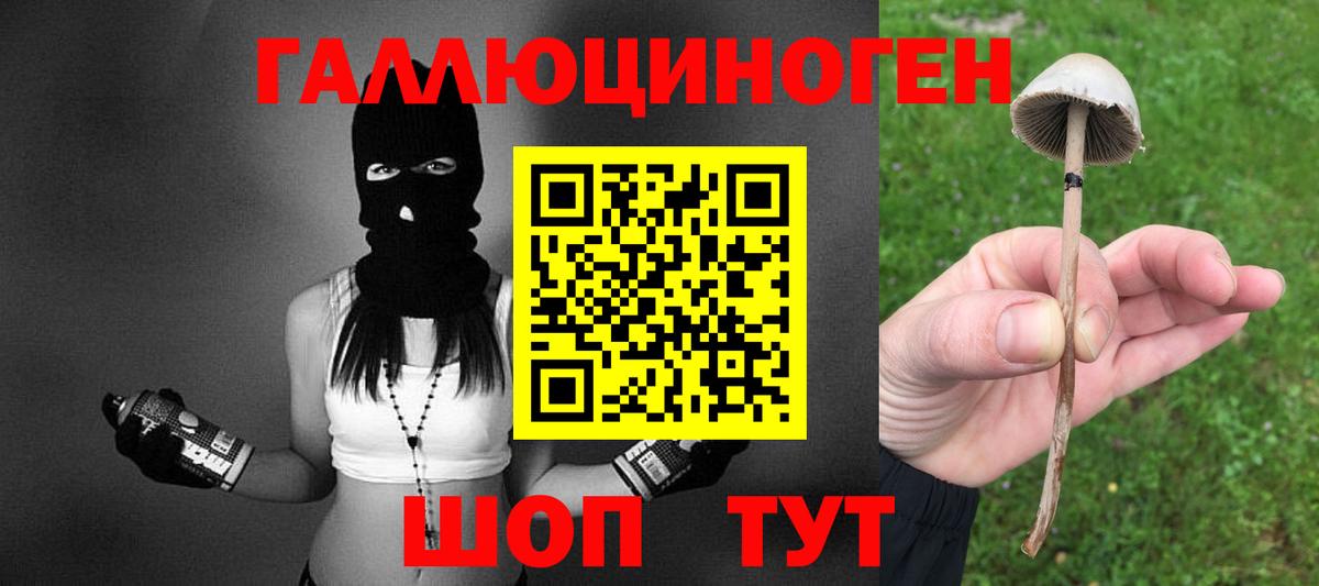 Псилоцибиновые грибы Psilocybe  Вход с VPN  Александров 