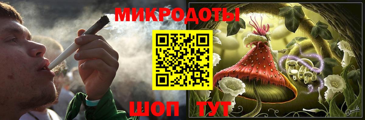Псилоцибиновые грибы Psilocybe Александров