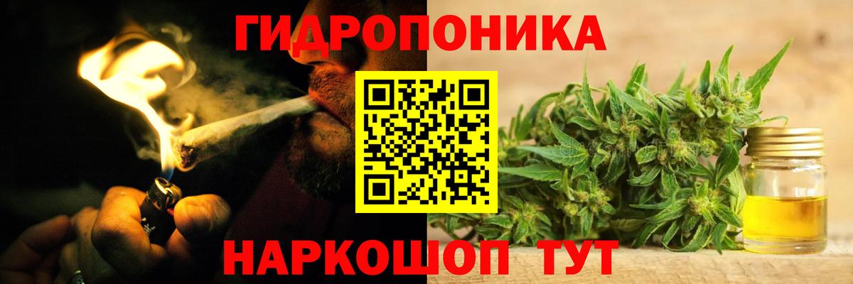 Бошки марихуана тримм  Бошки Шишки AK-47  Марихуана семена  Конопля OG Kush  Александров  Вход с VPN 